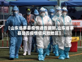 【山东省莘县疫情通告最新,山东省莘县是否疫情低风险地区】
