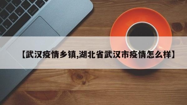 【武汉疫情乡镇,湖北省武汉市疫情怎么样】