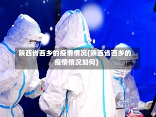 陕西省西乡的疫情情况(陕西省西乡的疫情情况如何)