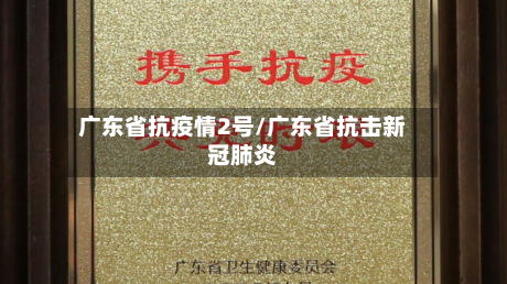 广东省抗疫情2号/广东省抗击新冠肺炎
