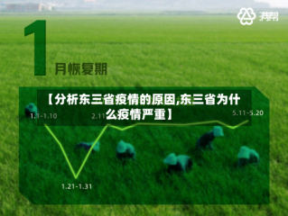 【分析东三省疫情的原因,东三省为什么疫情严重】