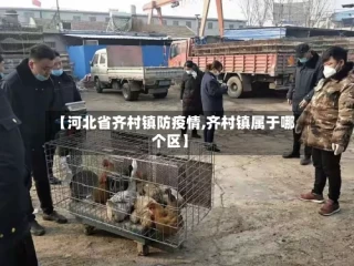 【河北省齐村镇防疫情,齐村镇属于哪个区】