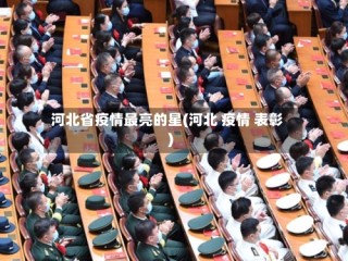 河北省疫情最亮的星(河北 疫情 表彰)