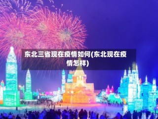 东北三省现在疫情如何(东北现在疫情怎样)