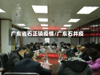 广东省石正镇疫情/广东石井疫情