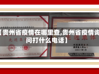 【贵州省疫情在哪里查,贵州省疫情询问打什么电话】