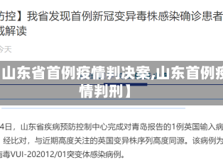 【山东省首例疫情判决案,山东首例疫情判刑】