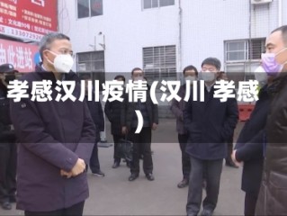孝感汉川疫情(汉川 孝感)