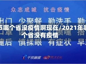 春节哪个省没疫情啊现在/2021年哪个省没有疫情