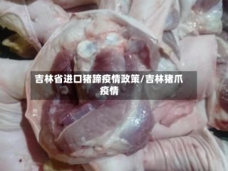吉林省进口猪蹄疫情政策/吉林猪爪疫情