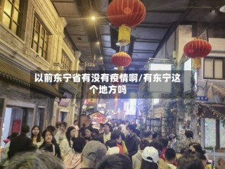 以前东宁省有没有疫情啊/有东宁这个地方吗