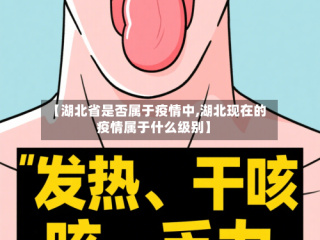 【湖北省是否属于疫情中,湖北现在的疫情属于什么级别】