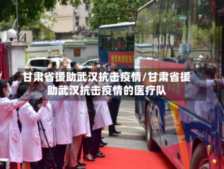 甘肃省援助武汉抗击疫情/甘肃省援助武汉抗击疫情的医疗队