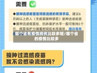 哪个省有疫情病例比较多呢/哪个省的疫情比较多