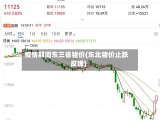 疫情期间东三省猪价(东北猪价止跌反弹)