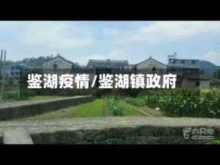 鉴湖疫情/鉴湖镇政府