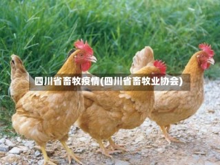 四川省畜牧疫情(四川省畜牧业协会)
