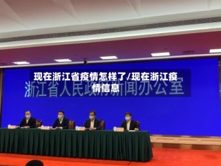 现在浙江省疫情怎样了/现在浙江疫情信息