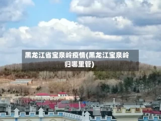黑龙江省宝泉岭疫情(黑龙江宝泉岭归哪里管)