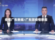 疫情广东新闻/广东防疫情新闻