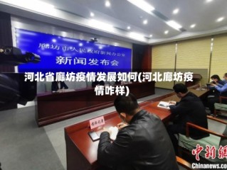 河北省廊坊疫情发展如何(河北廊坊疫情咋样)