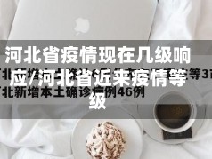 河北省疫情现在几级响应/河北省近来疫情等级