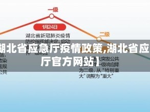 【湖北省应急厅疫情政策,湖北省应急厅官方网站】