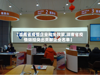 【湖南省疫情企业相关政策,湖南省疫情防控突出贡献企业名单】