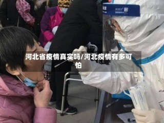 河北省疫情真实吗/河北疫情有多可怕