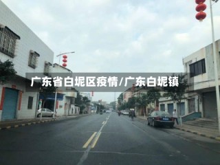 广东省白坭区疫情/广东白坭镇