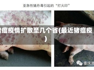 猪瘟疫情扩散至几个省(最近猪瘟疫)
