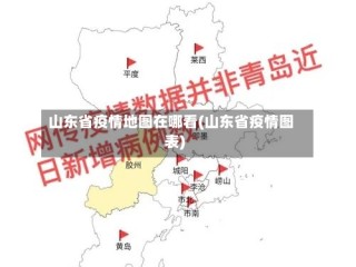山东省疫情地图在哪看(山东省疫情图表)