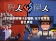 辽宁省的疫情什么情歌/辽宁疫情是什么病毒
