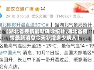 【湖北省疫情最新确诊统计,湖北省疫情最新消息今天新增多少病人】