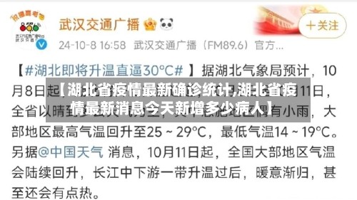 【湖北省疫情最新确诊统计,湖北省疫情最新消息今天新增多少病人】