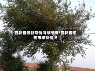 吉林省最新疫情消息榆树/吉林省榆树市防疫情况