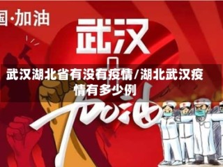 武汉湖北省有没有疫情/湖北武汉疫情有多少例