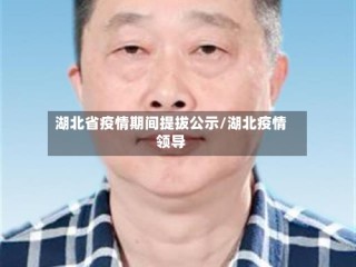 湖北省疫情期间提拔公示/湖北疫情领导