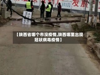 【陕西省哪个市没疫情,陕西哪里出现冠状病毒疫情】