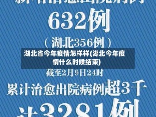 湖北省今年疫情怎样样(湖北今年疫情什么时候结束)