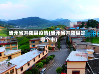 贵州省开阳县疫情(贵州省开阳县是哪个市)