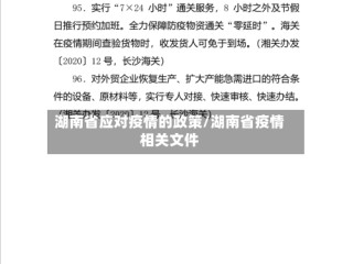 湖南省应对疫情的政策/湖南省疫情相关文件