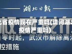 湖北省疫情现在严重吗(请问湖北疫情严重吗)