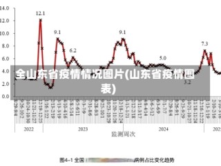 全山东省疫情情况图片(山东省疫情图表)
