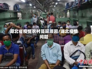 湖北省疫情农村蔓延原因/湖北疫情问题