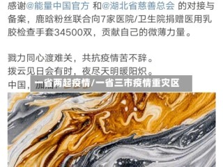 一省两起疫情/一省三市疫情重灾区