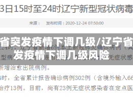 辽宁省突发疫情下调几级/辽宁省突发疫情下调几级风险