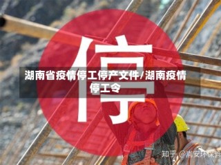 湖南省疫情停工停产文件/湖南疫情停工令
