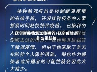 辽宁省疫情怎么传播的/辽宁疫情是什么引起的