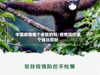 中国疫情哪个省管的好/疫情防控哪个省比较好